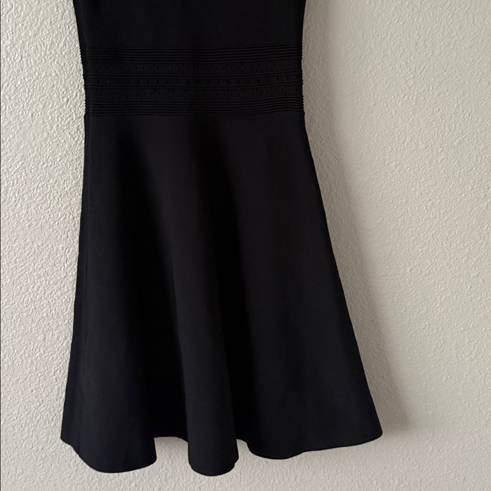 Sandro Rose and Bird Embroidery Paneled Knit Black Mesh Mini Fit Flare Dress 1 - Picture 13 of 14